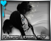 D~Flappy Ears: Black