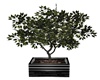 ღ𝓟𝓜 Tree Planter