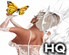 Yellow Butterfly