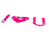 Barb Pink I Love U Roses