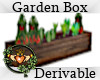 Garden Box