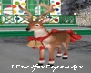 Reindeer