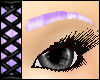 *VC* Eyebrows Lavender