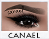 [CNL]canael brows V8