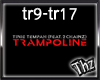 T.T (2 C) Trampoline [1]