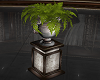 Decor Plant with Vase