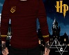 Gryffindor Shirt