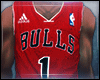 Bulls. x Derrick Rose