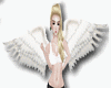 Angel Wings Animated