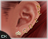 K| RoyalT Stud  Earrings