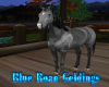Blue Roan Geldings
