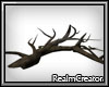 [RC] Branch