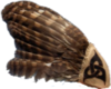 native owl feather fan L