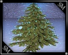 Christmas Tree1