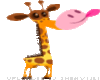 Giraffe licks