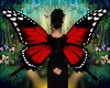 Red Butterfly Wings