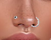 2 Nose Rings W Diamonds