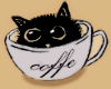 CAFE CAT