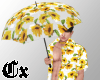Sunflower Umbrella M