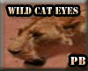 {PB}Wild Cat Eyes(F)