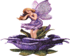 a purple rose fairy