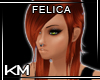 +KM+ Felica Copper2