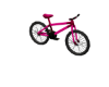 Pinkianna Bike