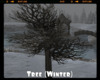 *Tree (Winter)