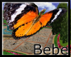 Butterfly Kite 