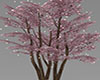 Pink Tree with Lights
