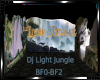 *Dj Light Jungle