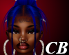 CB- Jelica Navy