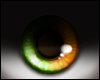 Green-Orange Mix Eyes