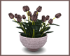 Lenore Tulip Bowl
