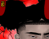 locks