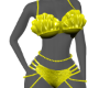 Sunburst Shell Bikini