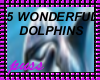 ! 5 DOLPHIN PICTURES!