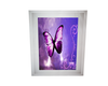 Purple Butterfly Picture
