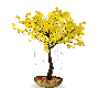 BL Yellow Tree