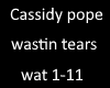 cassidy pope wast tears