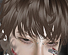 𝔁. Shinu brown