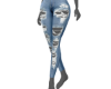 Jeans Pants