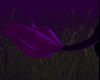 Ultra Violet tail V8