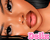 Ref 006