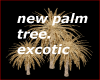 new excotic palm tree