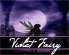 Violet Fairy