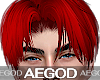 Ⲁ𝓖 Red Fire Hair