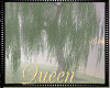 !Q Willow Tree