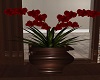 Brown Red Planter