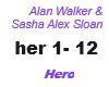 Alan Walker / Hero